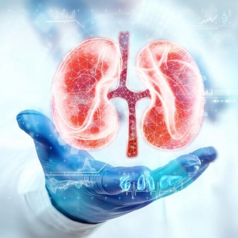 Kidney Transplant